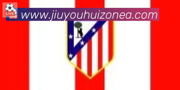 九游会合作伙伴